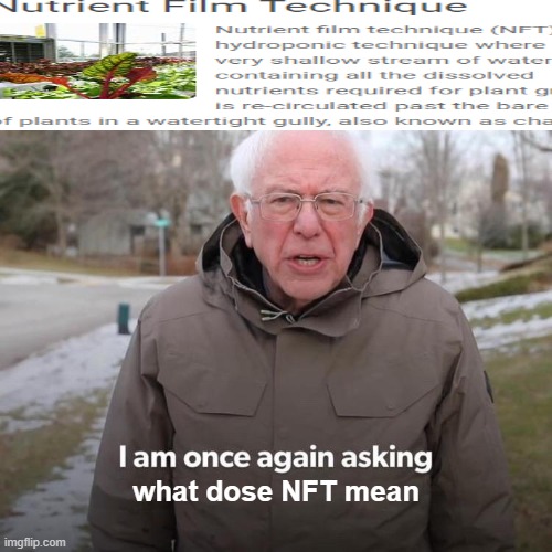 tell me what NFT means | what dose NFT mean | image tagged in memes,bernie i am once again asking for your support | made w/ Imgflip meme maker