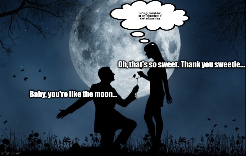 True moon | Oh, that's so sweet. Thank you sweetie... Baby, you're like the moon... | image tagged in funny | made w/ Imgflip meme maker