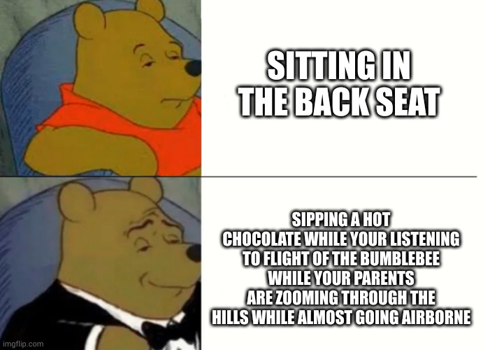 anyone? just me? ok | SITTING IN THE BACK SEAT; SIPPING A HOT CHOCOLATE WHILE YOUR LISTENING TO FLIGHT OF THE BUMBLEBEE WHILE YOUR PARENTS ARE ZOOMING THROUGH THE HILLS WHILE ALMOST GOING AIRBORNE | image tagged in fancy winnie the pooh meme | made w/ Imgflip meme maker