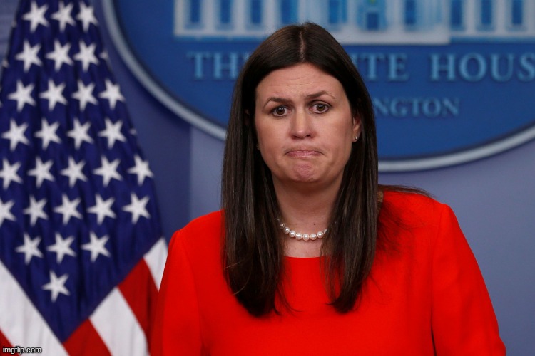 Sarah Sanders grimace | image tagged in sarah sanders grimace | made w/ Imgflip meme maker