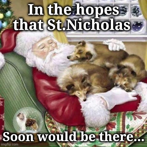 Sheltie Christmas | In the hopes that St.Nicholas; Soon would be there... | image tagged in st nicholas,sheltie,santa,nap | made w/ Imgflip meme maker