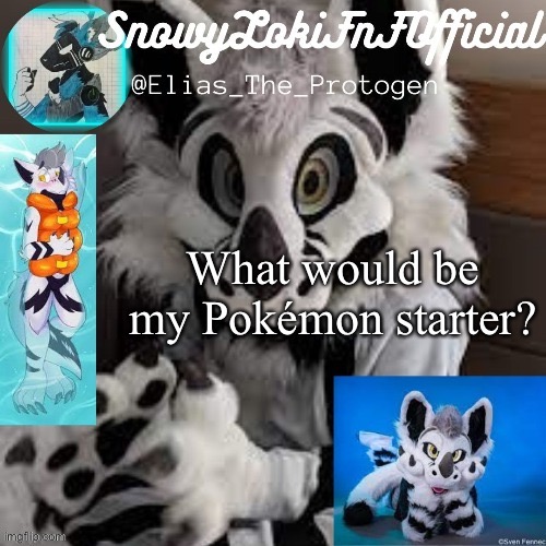 Haha trends go brrr | What would be my Pokémon starter? | image tagged in maverick temp | made w/ Imgflip meme maker