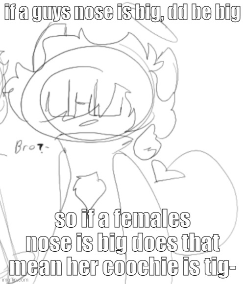 e | if a guys nose is big, dd be big; so if a females nose is big does that mean her coochie is tig- | image tagged in nero saying b r o | made w/ Imgflip meme maker