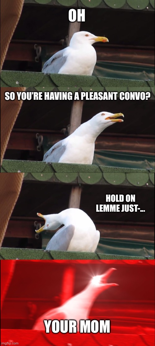 Inhaling Seagull Meme | OH; SO YOU’RE HAVING A PLEASANT CONVO? HOLD ON LEMME JUST-... YOUR MOM | image tagged in memes,inhaling seagull | made w/ Imgflip meme maker