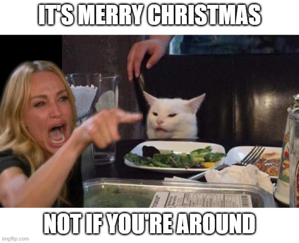 Girl In Cat's Face | IT'S MERRY CHRISTMAS; NOT IF YOU'RE AROUND | image tagged in girl in cat's face | made w/ Imgflip meme maker