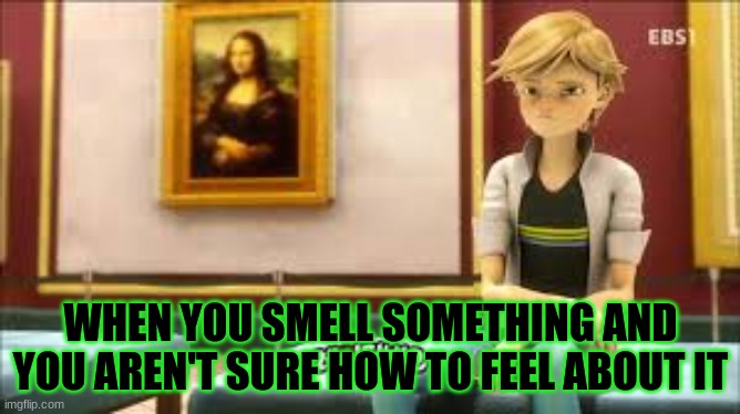 Adrien smells something | WHEN YOU SMELL SOMETHING AND YOU AREN'T SURE HOW TO FEEL ABOUT IT | made w/ Imgflip meme maker