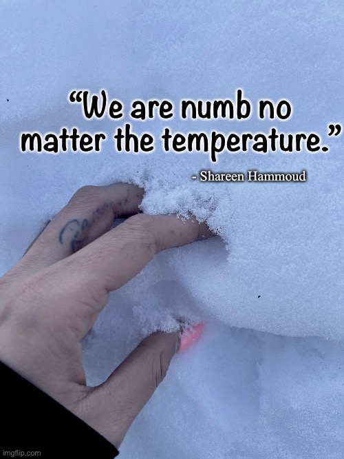 Fight or flight | “We are numb no matter the temperature.”; - Shareen Hammoud | image tagged in response,mental health,abuse,pain,inspirational quote,quotes | made w/ Imgflip meme maker