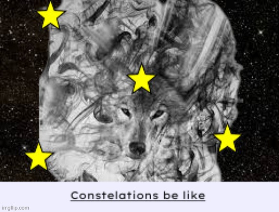 Constellations Be Like | image tagged in lol,constelations,wolf | made w/ Imgflip meme maker