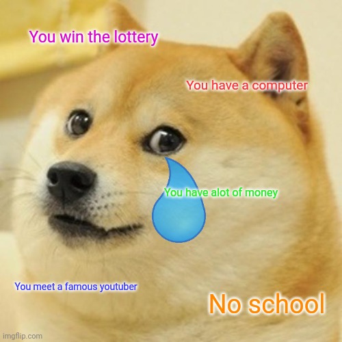 I wish... | You win the lottery; You have a computer; You have alot of money; You meet a famous youtuber; No school | image tagged in memes,doge | made w/ Imgflip meme maker