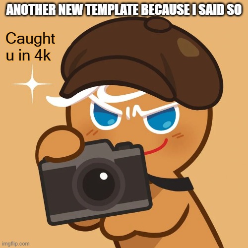 Gingerbrave catches you in 4k | ANOTHER NEW TEMPLATE BECAUSE I SAID SO | image tagged in gingerbrave catches you in 4k | made w/ Imgflip meme maker