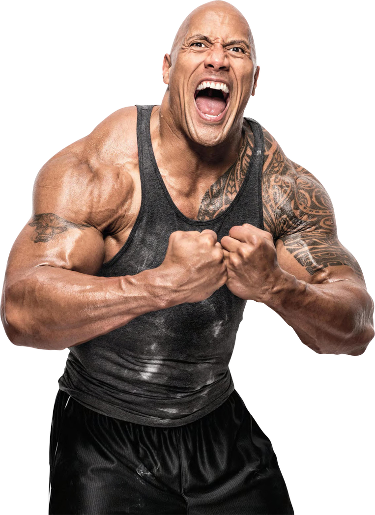 The Rock - Internet Meme, HD Png Download - 535x1179(#42570) - PngFind