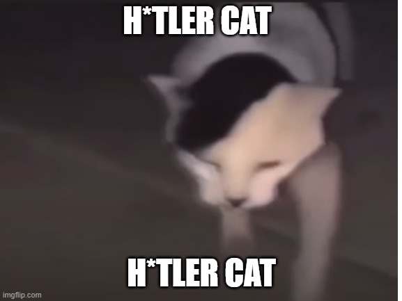 its time to take over | H*TLER CAT; H*TLER CAT | image tagged in hitler,cats | made w/ Imgflip meme maker