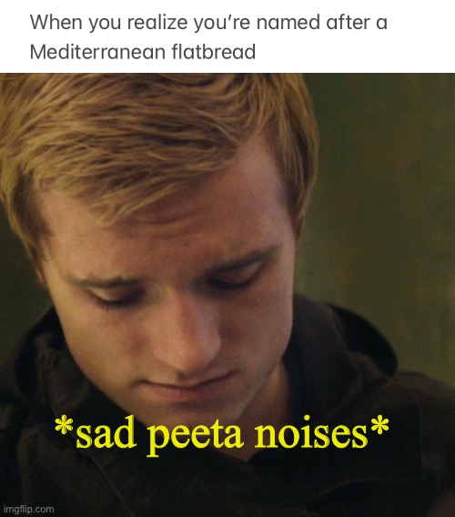 *sad peeta noises* | image tagged in peeta,the hunger games,memes,funny,funny memes,lol | made w/ Imgflip meme maker