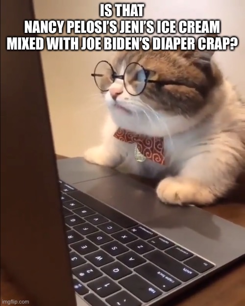 research cat | IS THAT
NANCY PELOSI’S JENI’S ICE CREAM
MIXED WITH JOE BIDEN’S DIAPER CRAP? | image tagged in research cat | made w/ Imgflip meme maker