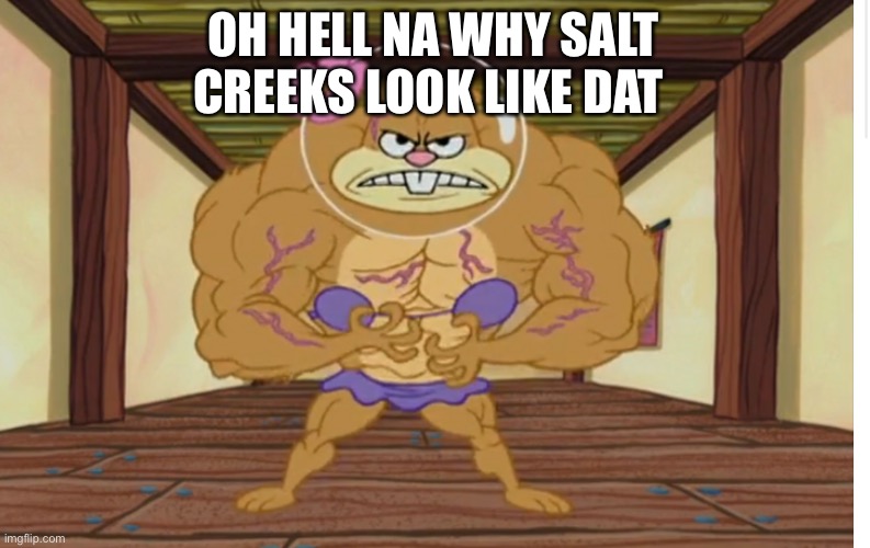 Bro?? | OH HELL NA WHY SALT CREEKS LOOK LIKE DAT | image tagged in sandy cheeks,memes | made w/ Imgflip meme maker