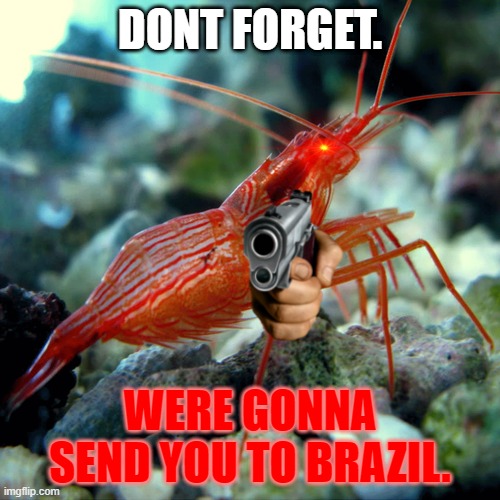 *Sends you to Brazil* | DONT FORGET. WERE GONNA SEND YOU TO BRAZIL. | image tagged in shrimp | made w/ Imgflip meme maker