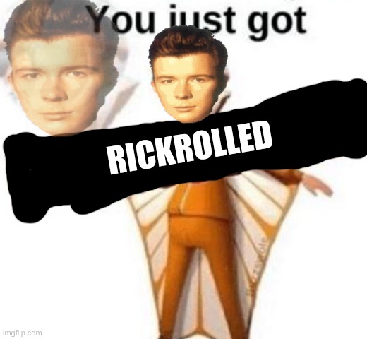 You just got vectored | RICKROLLED | image tagged in you just got vectored | made w/ Imgflip meme maker