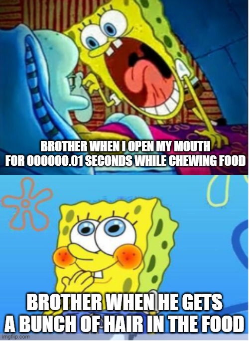 Spongebob Yell/Spongebob Shy |  BROTHER WHEN I OPEN MY MOUTH FOR 000000.01 SECONDS WHILE CHEWING FOOD; BROTHER WHEN HE GETS A BUNCH OF HAIR IN THE FOOD | image tagged in spongebob yell/spongebob shy | made w/ Imgflip meme maker