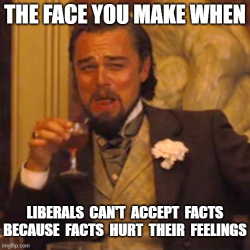 ...and then the demlibs cry, riot, burn, loot, and murder. | THE FACE YOU MAKE WHEN; LIBERALS  CAN'T  ACCEPT  FACTS
BECAUSE  FACTS  HURT  THEIR  FEELINGS | image tagged in laughing leo,stupid liberals,lets go brandon,msm lies,cnn fake news,liberal sheep | made w/ Imgflip meme maker