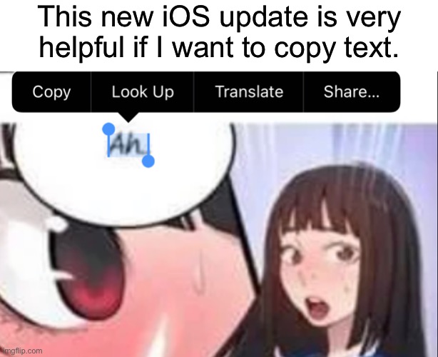 sus | This new iOS update is very helpful if I want to copy text. | image tagged in funny | made w/ Imgflip meme maker