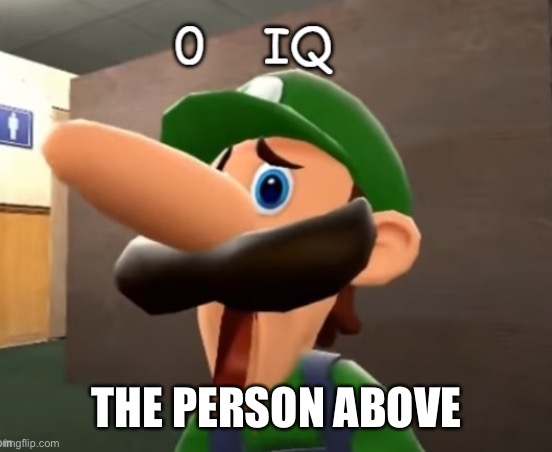 0 iq | THE PERSON ABOVE | image tagged in 0 iq | made w/ Imgflip meme maker