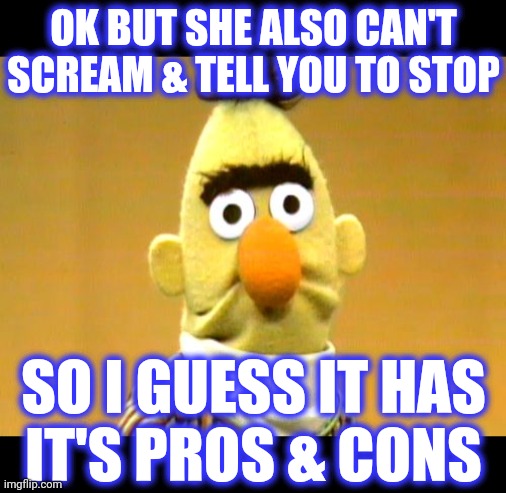 Sesame Street - Sad Bert | SO I GUESS IT HAS
IT'S PROS & CONS OK BUT SHE ALSO CAN'T
SCREAM & TELL YOU TO STOP | image tagged in sesame street - sad bert | made w/ Imgflip meme maker