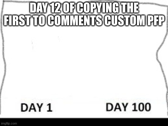 Day 1-100 | DAY 12 OF COPYING THE FIRST TO COMMENTS CUSTOM PFP | image tagged in day 1-100 | made w/ Imgflip meme maker