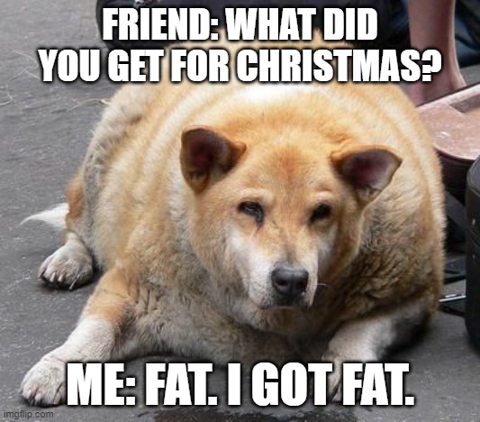 fat dog | FRIEND: WHAT DID YOU GET FOR CHRISTMAS? ME: FAT. I GOT FAT. | image tagged in fat dog | made w/ Imgflip meme maker