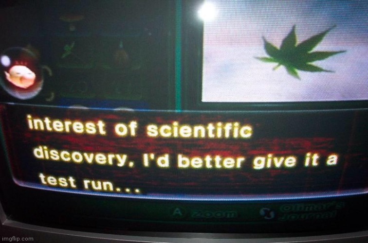 Olimarhas canonically smoked weed | made w/ Imgflip meme maker