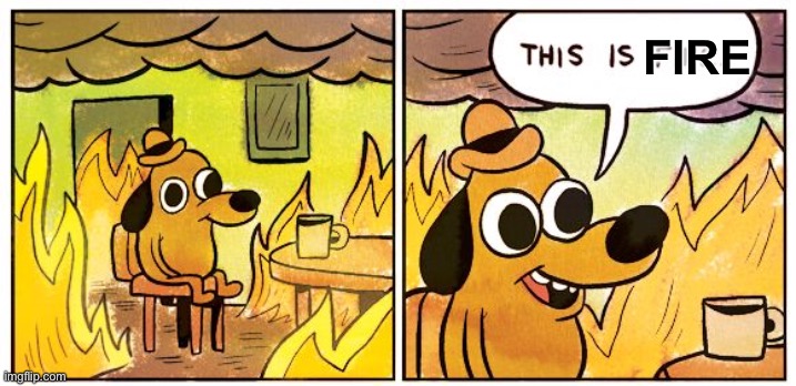 This Is Fine | FIRE | image tagged in memes,this is fine | made w/ Imgflip meme maker