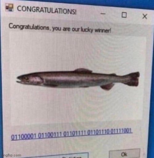 You won killer fish | made w/ Imgflip meme maker