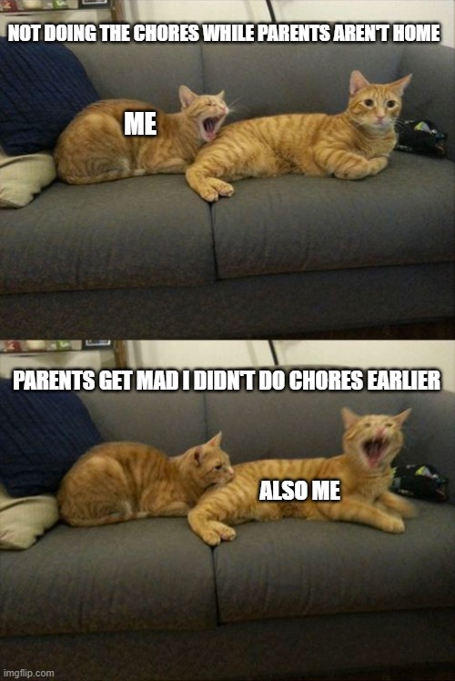 Do the chores or suffer | NOT DOING THE CHORES WHILE PARENTS AREN'T HOME; ME; PARENTS GET MAD I DIDN'T DO CHORES EARLIER; ALSO ME | image tagged in cat bites cat | made w/ Imgflip meme maker