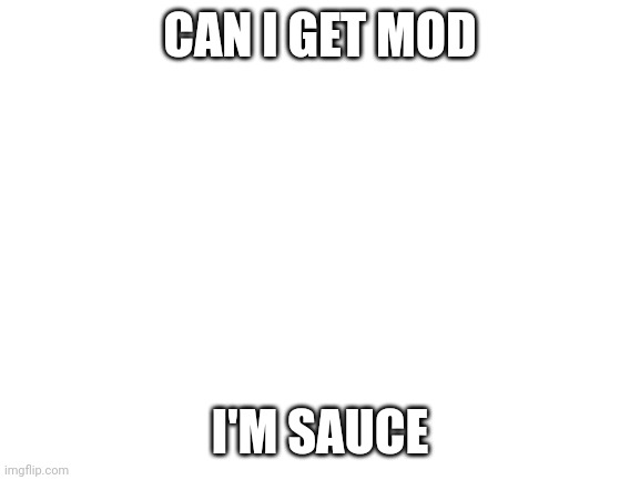 Blank White Template | CAN I GET MOD; I'M SAUCE | image tagged in blank white template | made w/ Imgflip meme maker