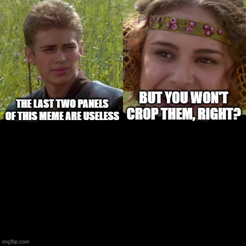 Bruh | THE LAST TWO PANELS OF THIS MEME ARE USELESS; BUT YOU WON'T CROP THEM, RIGHT? | image tagged in anakin padme 4 panel | made w/ Imgflip meme maker