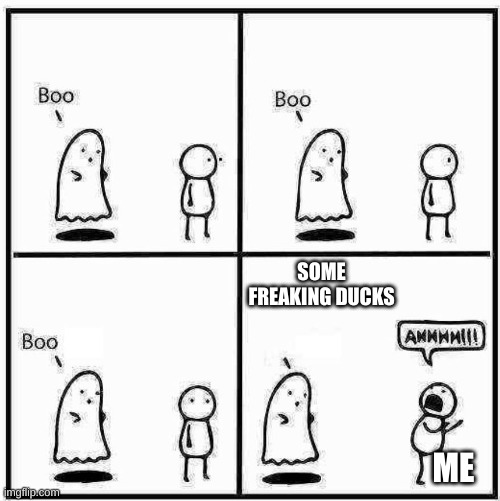 i hate this, a duck flew in front of me and i screamed so freaking loud | SOME FREAKING DUCKS; ME | image tagged in ghost boo | made w/ Imgflip meme maker