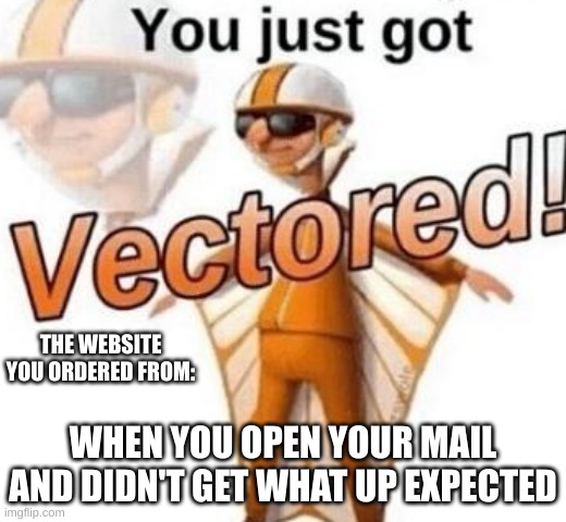 online shopping be like: | THE WEBSITE YOU ORDERED FROM:; WHEN YOU OPEN YOUR MAIL AND DIDN'T GET WHAT UP EXPECTED | image tagged in you just got vectored,memes | made w/ Imgflip meme maker