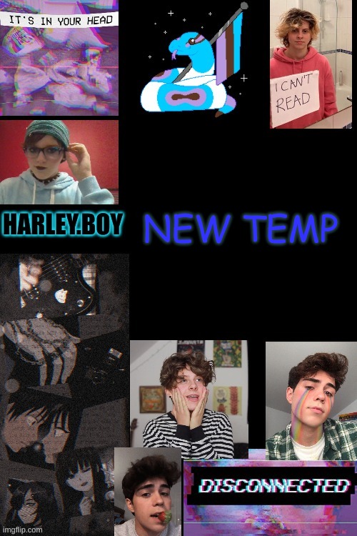 harley. | NEW TEMP | image tagged in harley | made w/ Imgflip meme maker