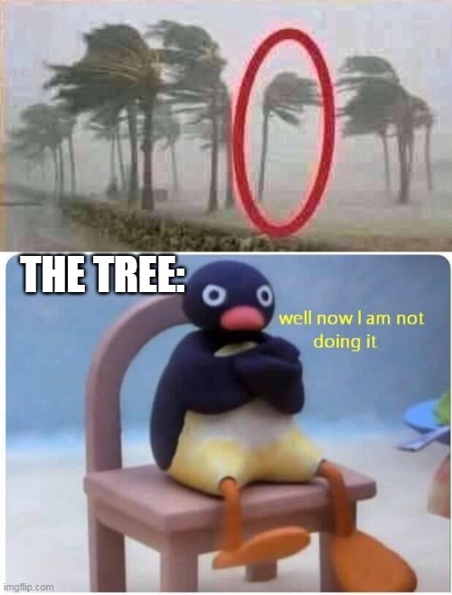 THE TREE: | image tagged in well now i'm not doing it | made w/ Imgflip meme maker