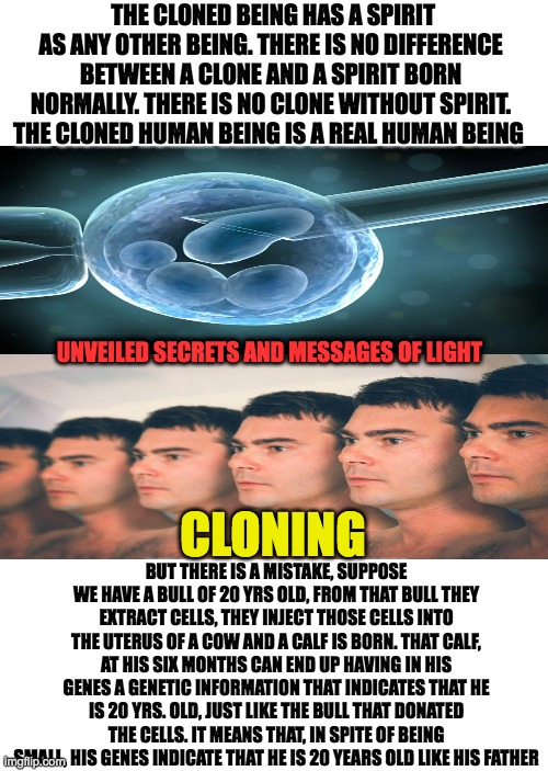 CLONING | THE CLONED BEING HAS A SPIRIT AS ANY OTHER BEING. THERE IS NO DIFFERENCE BETWEEN A CLONE AND A SPIRIT BORN NORMALLY. THERE IS NO CLONE WITHOUT SPIRIT. THE CLONED HUMAN BEING IS A REAL HUMAN BEING; UNVEILED SECRETS AND MESSAGES OF LIGHT; CLONING; BUT THERE IS A MISTAKE, SUPPOSE WE HAVE A BULL OF 20 YRS OLD, FROM THAT BULL THEY EXTRACT CELLS, THEY INJECT THOSE CELLS INTO THE UTERUS OF A COW AND A CALF IS BORN. THAT CALF, AT HIS SIX MONTHS CAN END UP HAVING IN HIS GENES A GENETIC INFORMATION THAT INDICATES THAT HE IS 20 YRS. OLD, JUST LIKE THE BULL THAT DONATED THE CELLS. IT MEANS THAT, IN SPITE OF BEING SMALL, HIS GENES INDICATE THAT HE IS 20 YEARS OLD LIKE HIS FATHER | image tagged in clone | made w/ Imgflip meme maker