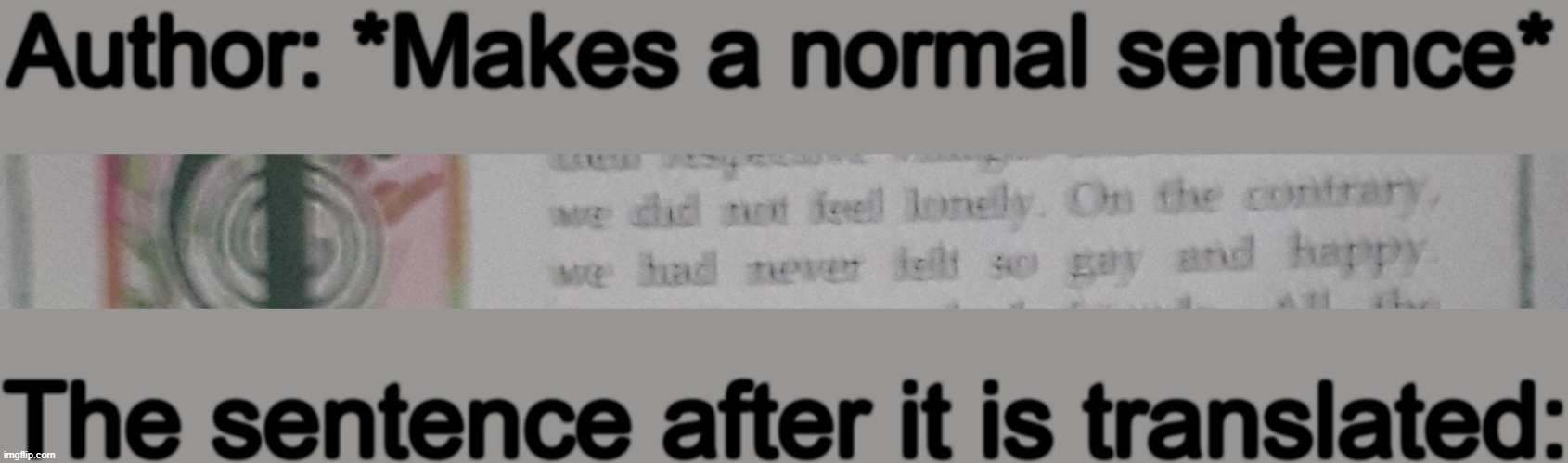 Try to read it, i can't get a decent picture | Author: *Makes a normal sentence*; The sentence after it is translated: | made w/ Imgflip meme maker