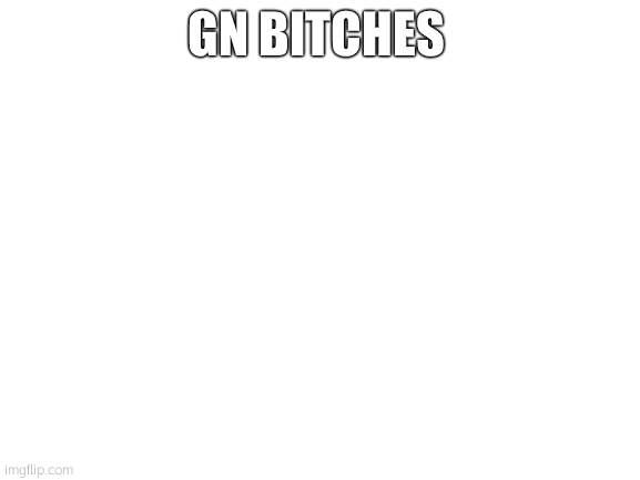 Blank White Template | GN BITCHES | image tagged in blank white template | made w/ Imgflip meme maker