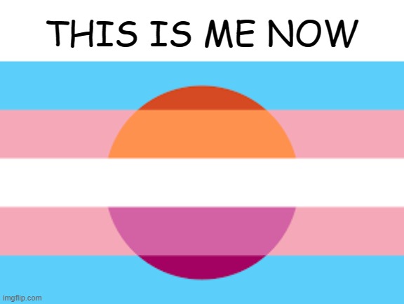 This Is Me | THIS IS ME NOW | image tagged in transgender,lesbian | made w/ Imgflip meme maker