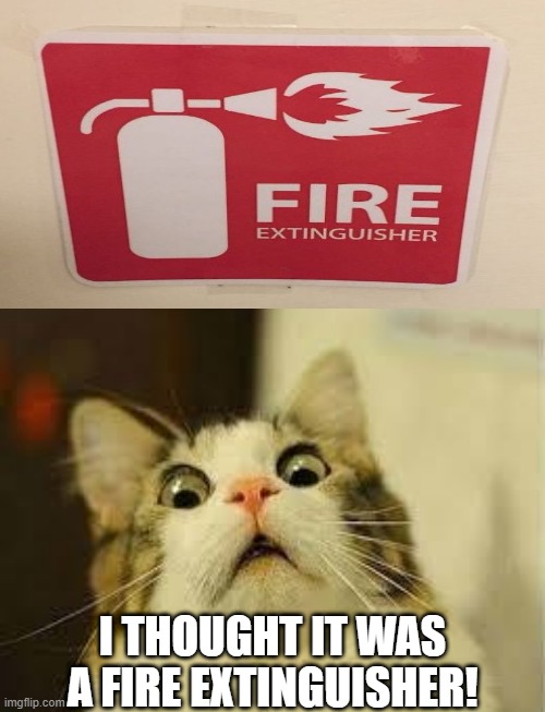 Oh yes more fire! | I THOUGHT IT WAS A FIRE EXTINGUISHER! | image tagged in shocked cat,fire extinguisher,fails | made w/ Imgflip meme maker