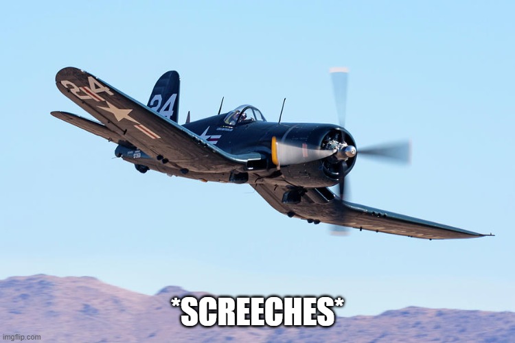 whistling intensifies | *SCREECHES* | image tagged in whistling intensifies | made w/ Imgflip meme maker