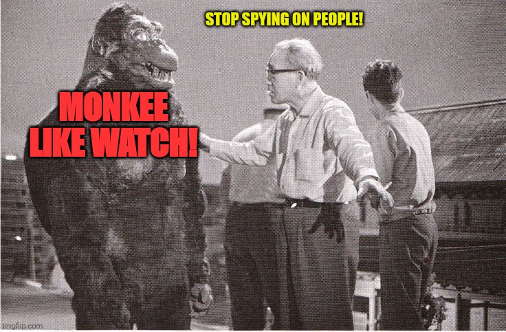 Kong with Director | STOP SPYING ON PEOPLE! MONKEE LIKE WATCH! | image tagged in kong with director | made w/ Imgflip meme maker