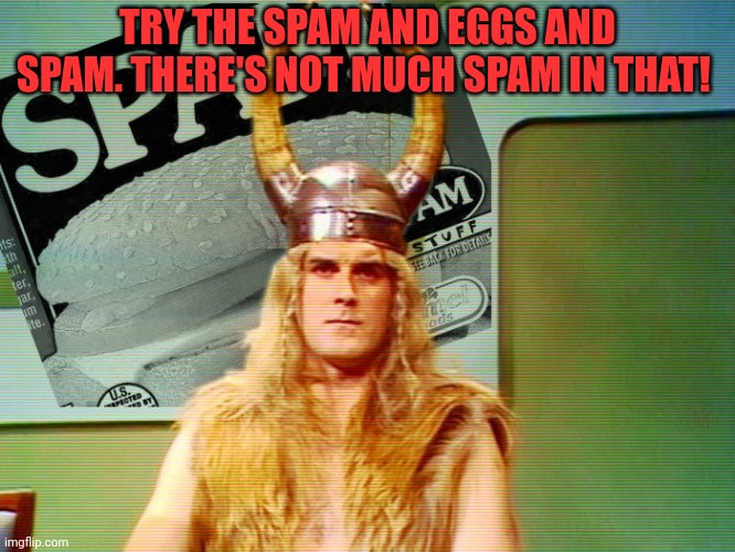 Monty Python Spam | TRY THE SPAM AND EGGS AND SPAM. THERE'S NOT MUCH SPAM IN THAT! | image tagged in monty python spam | made w/ Imgflip meme maker