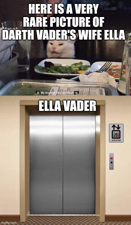 HERE IS A VERY RARE PICTURE OF DARTH VADER'S WIFE ELLA; ELLA VADER | image tagged in smudge the cat | made w/ Imgflip meme maker