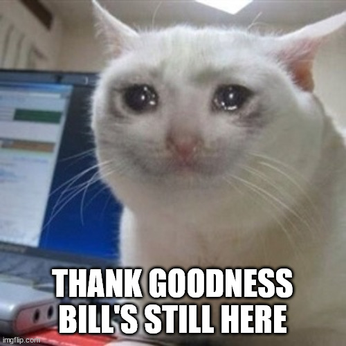 Crying cat | THANK GOODNESS BILL'S STILL HERE | image tagged in crying cat | made w/ Imgflip meme maker