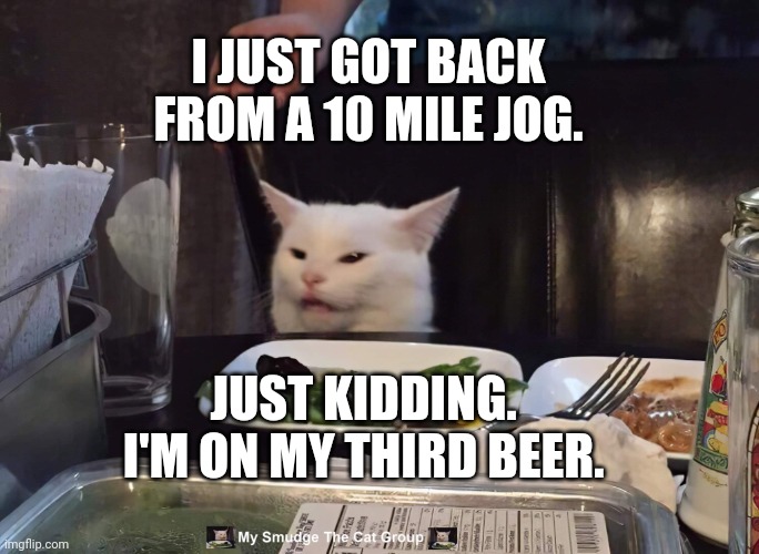 I JUST GOT BACK FROM A 10 MILE JOG. JUST KIDDING.  I'M ON MY THIRD BEER. | image tagged in smudge the cat | made w/ Imgflip meme maker