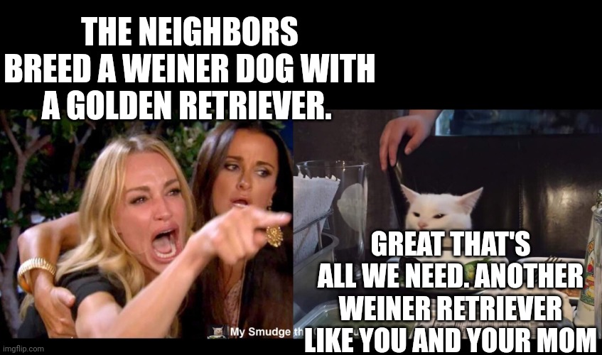 THE NEIGHBORS BREED A WEINER DOG WITH A GOLDEN RETRIEVER. GREAT THAT'S ALL WE NEED. ANOTHER WEINER RETRIEVER LIKE YOU AND YOUR MOM | image tagged in smudge the cat | made w/ Imgflip meme maker